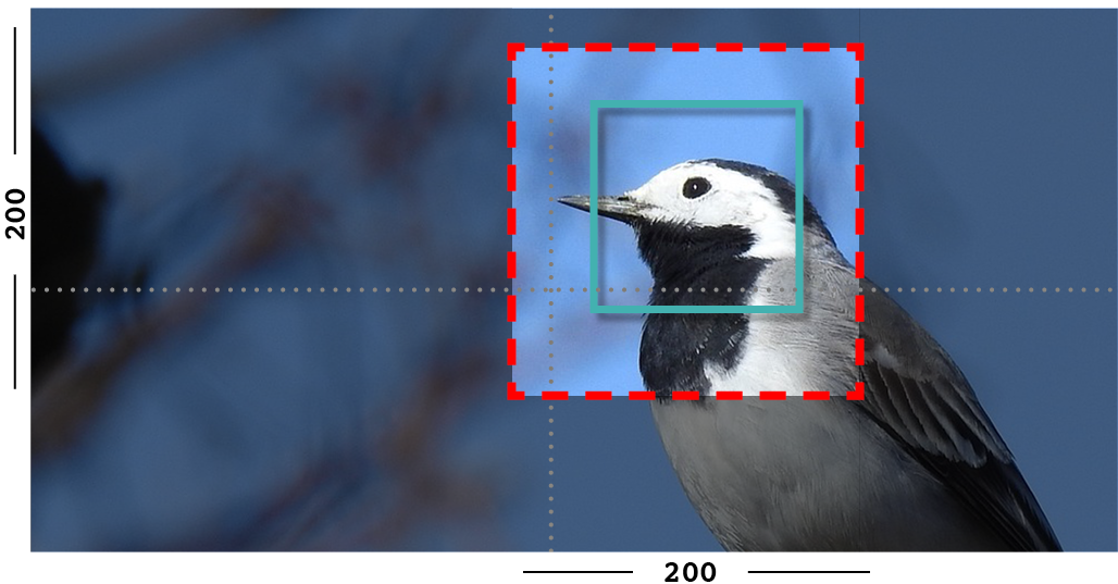 Example Of Fill And Closeness Filter On An Image With - Woodpecker Clipart (1100x600), Png Download