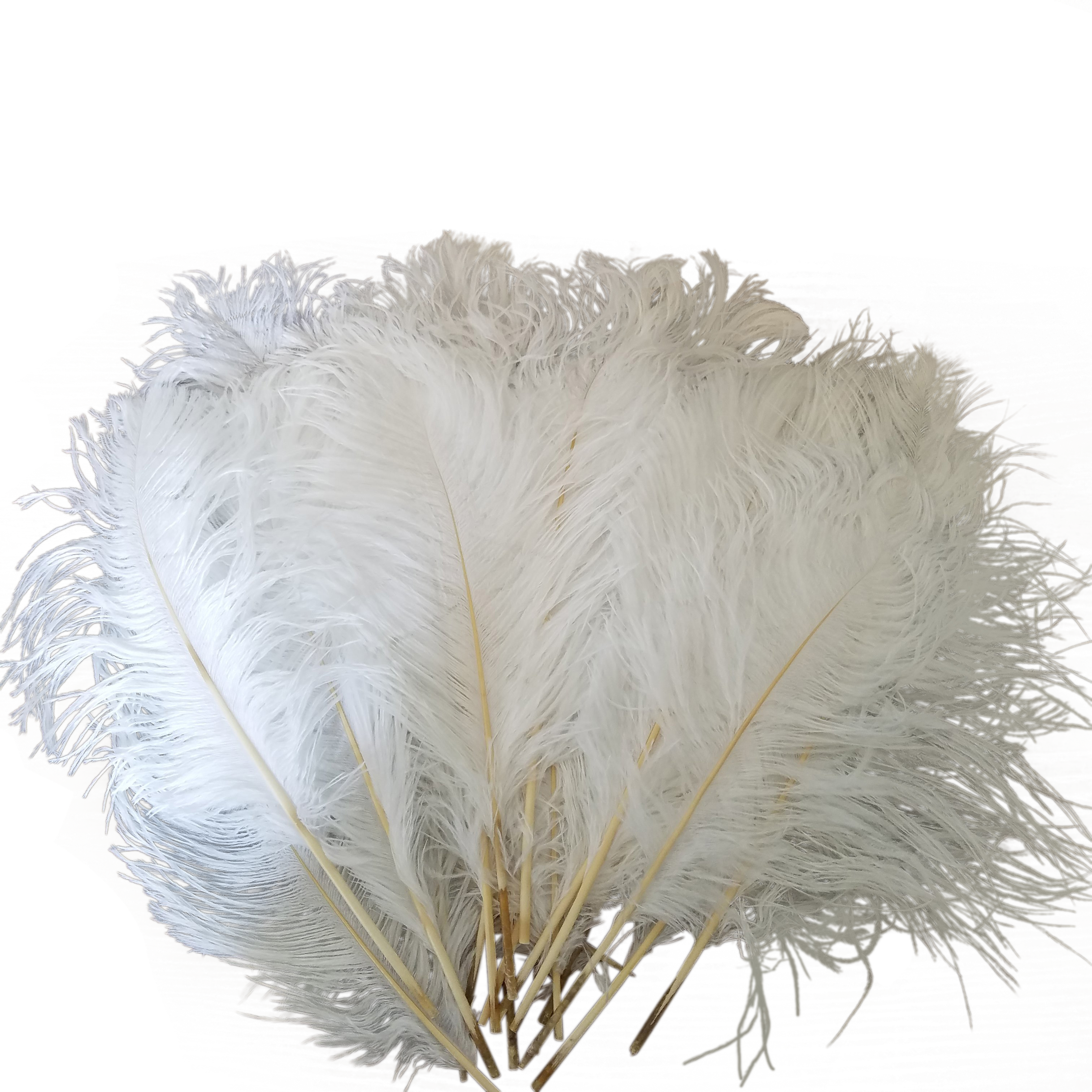 3024 X 3024 2 0 - Grass Clipart (3024x3024), Png Download