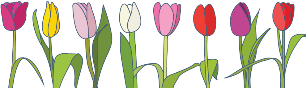 1000 X 329 6 0 - Spring Banners Transparent Clipart - Png Download (1000x329), Png Download