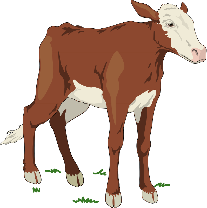 Cow 2 Free Vector - Cows From Animal Farm Clipart (797x800), Png Download