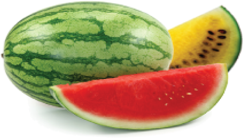 Watermelon Clipart (800x560), Png Download