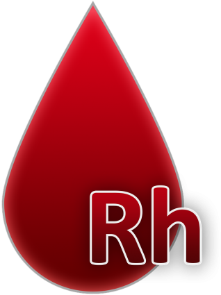 Blood Group,blood,a Drop Of Blood,blood Donation,rh,rh - Blood Group Png Clipart (500x707), Png Download