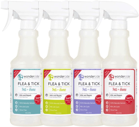 Glass Bottle Clipart (600x600), Png Download