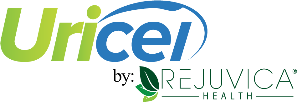 Graphic Design Clipart (1000x361), Png Download