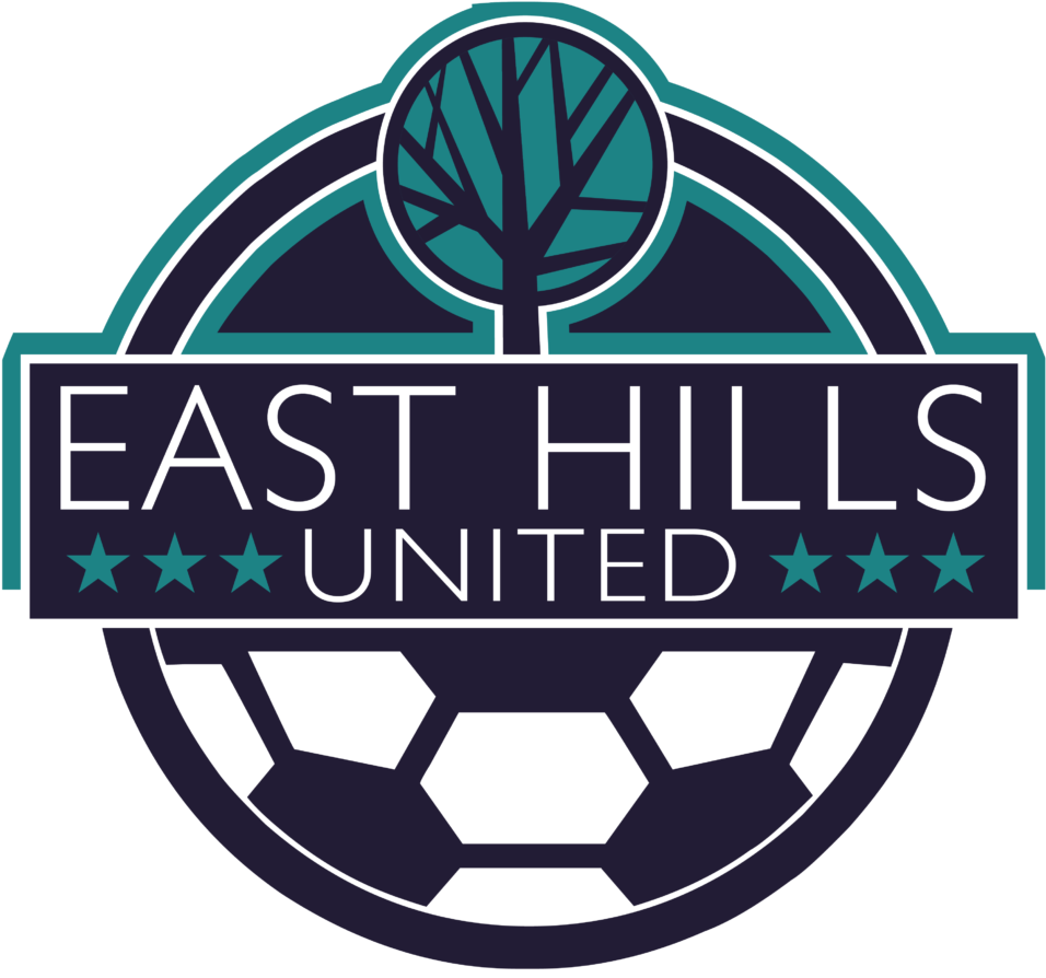 East Hills United - Ukraine Football Logo Png Clipart (1030x1000), Png Download