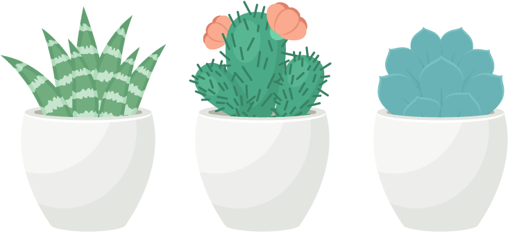 Cactus Vector Succulent - Succulent Plant Clipart (850x410), Png Download