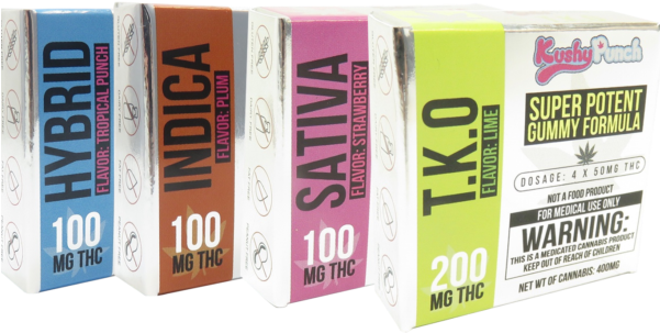 Kushy Punch - Book Cover Clipart (600x600), Png Download