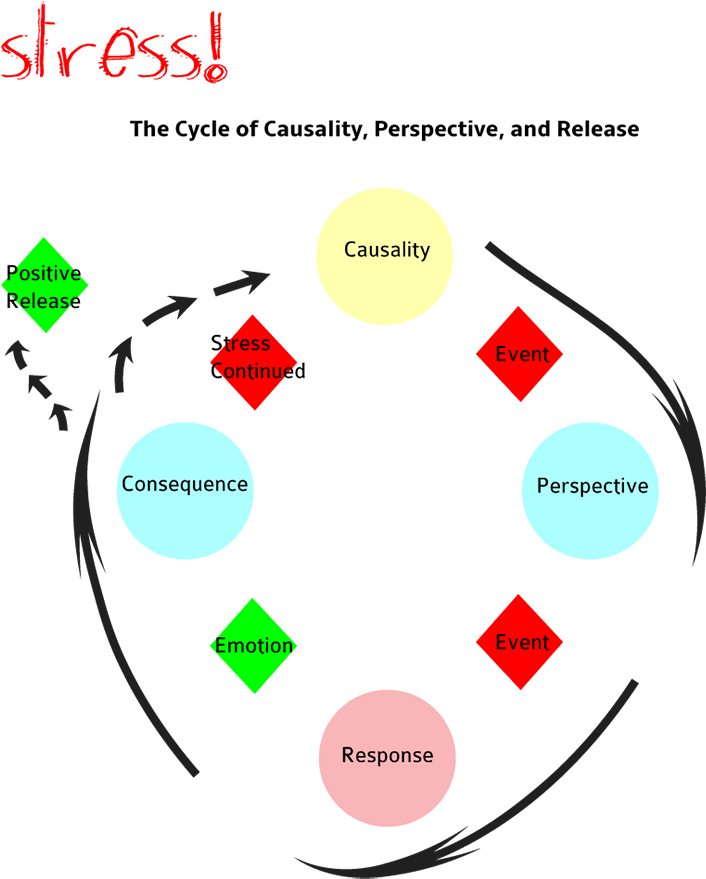 Anxiety Clipart Stress - Stress Response Cycle - Png Download (750x892), Png Download