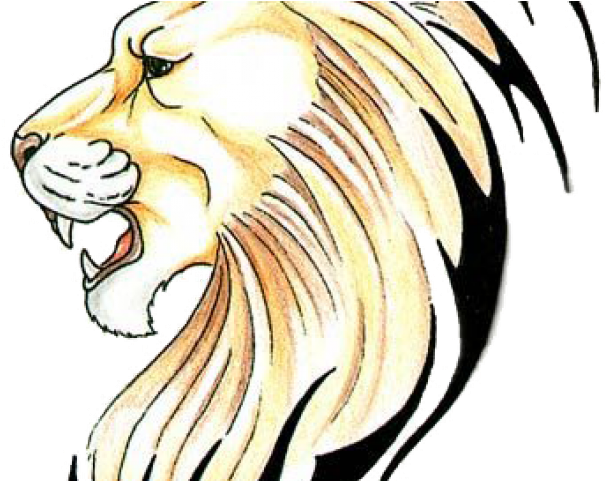 Lion Tattoo Clipart Bike - Lion Roaring Side View Drawing - Png Download (640x480), Png Download