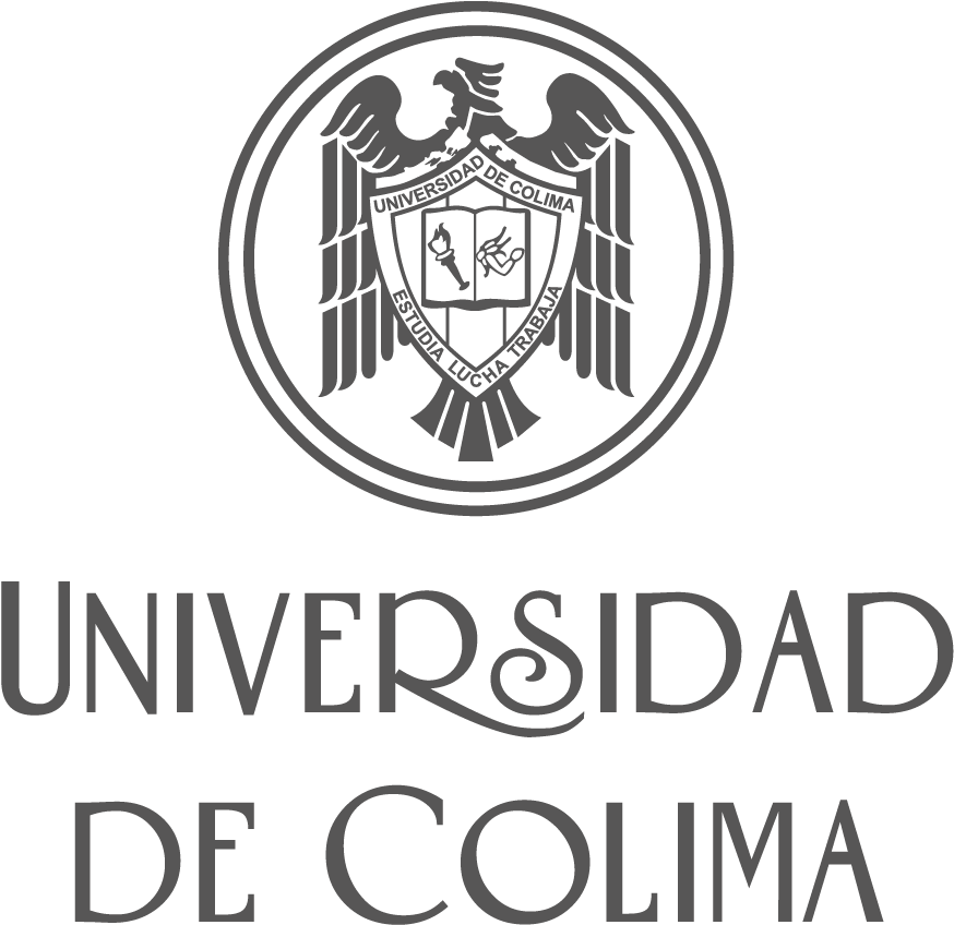 Negro 80 %, Descargar Clipart (888x899), Png Download