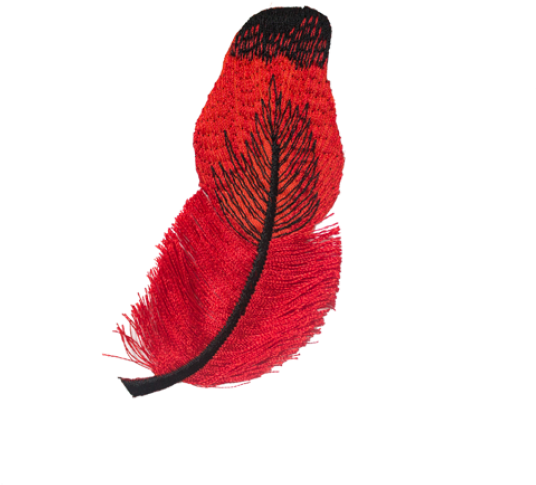 A845 - Illustration Clipart (800x800), Png Download