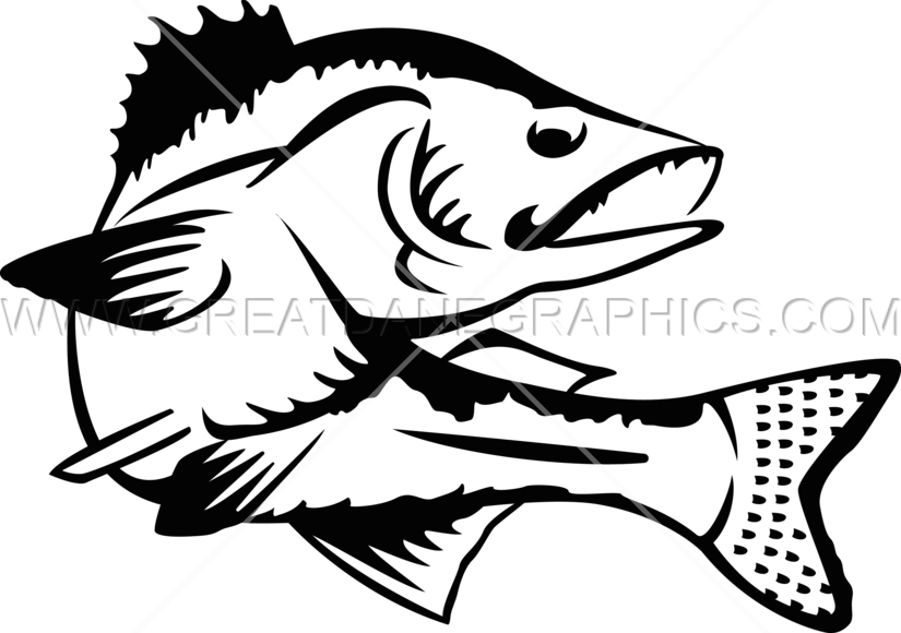 Png Royalty Free Download Walleye Clipartmansioncom - Walleye Images Black And White Transparent Png (825x580), Png Download