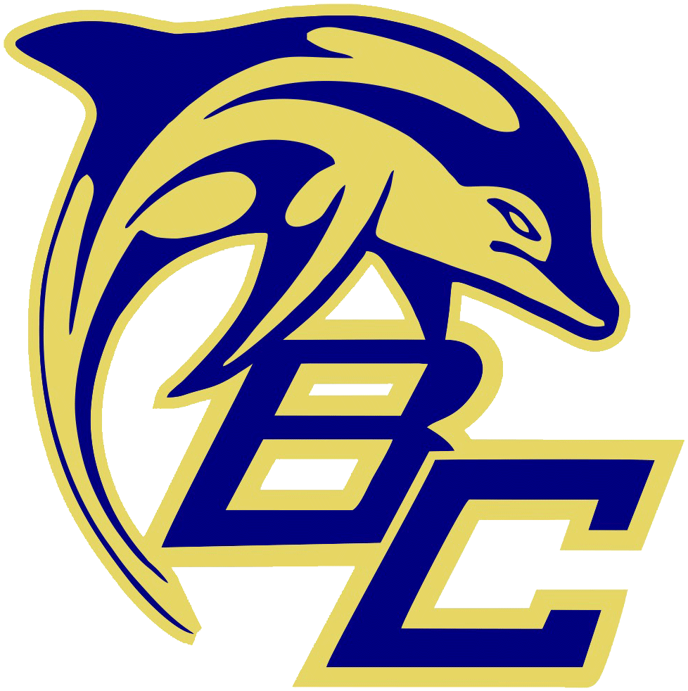 Battery Creek Dolphins - Dolphin Logo Png Clipart (1067x1033), Png Download