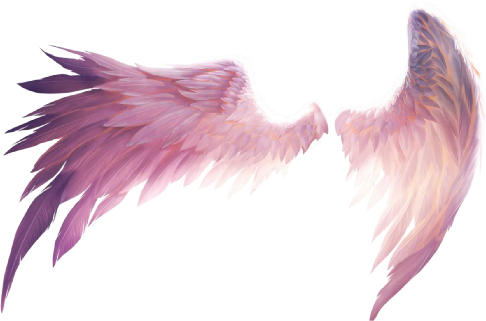 #wings #freedom #angel #fall #wing #demon #fly #birds Clipart (1773x1241), Png Download