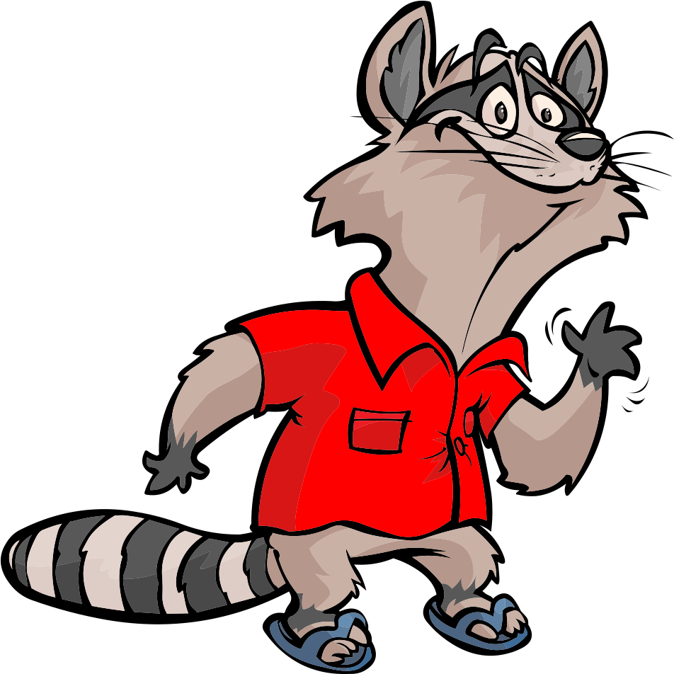 Racoon Clipart Vertebrate - Raccoon - Png Download (1000x1000), Png Download