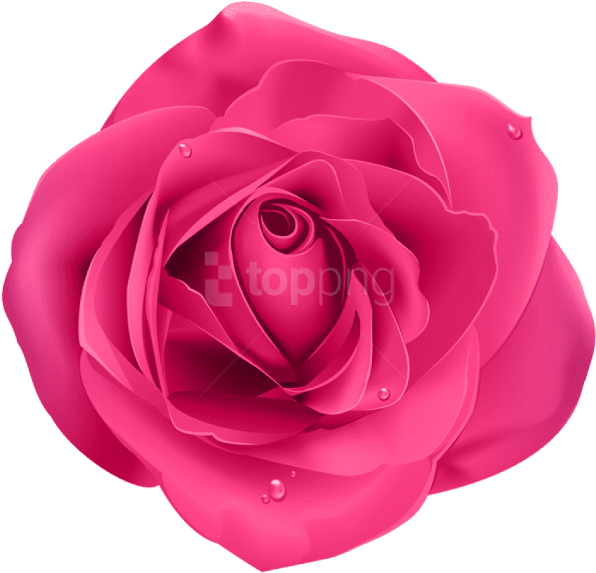Free Png Rose Pink Png Images Transparent - Rose Transparent Background Blue Clipart (850x812), Png Download
