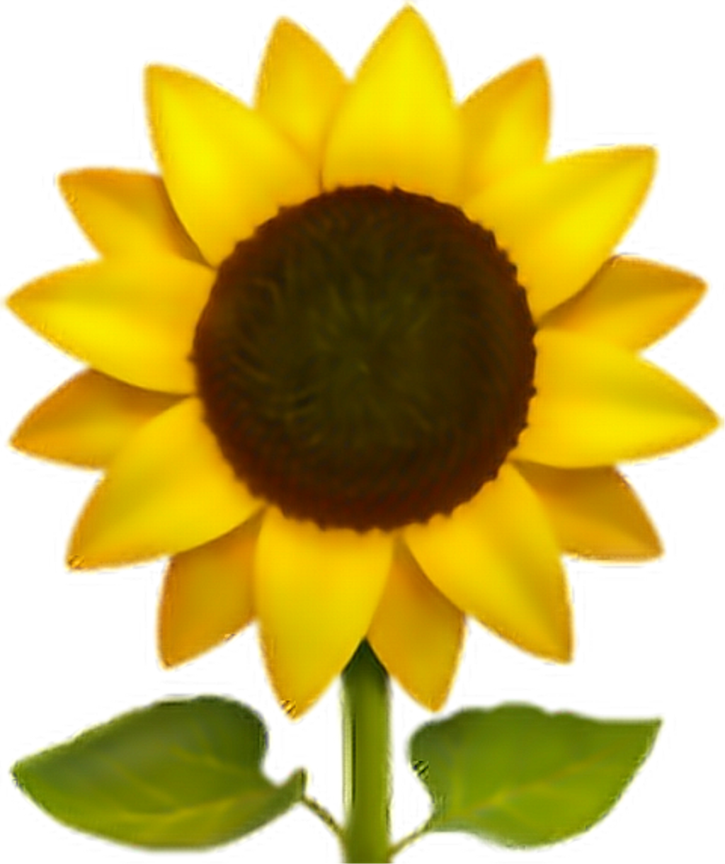 #emoji #flor #flower #png #pngs #pngtumblr - Iphone Sunflower Emoji Clipart (1024x1220), Png Download