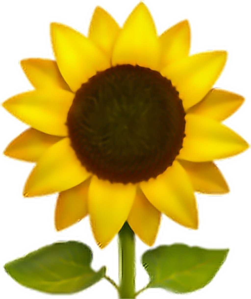 Download emoji  flor flower  png pngs pngtumblr 