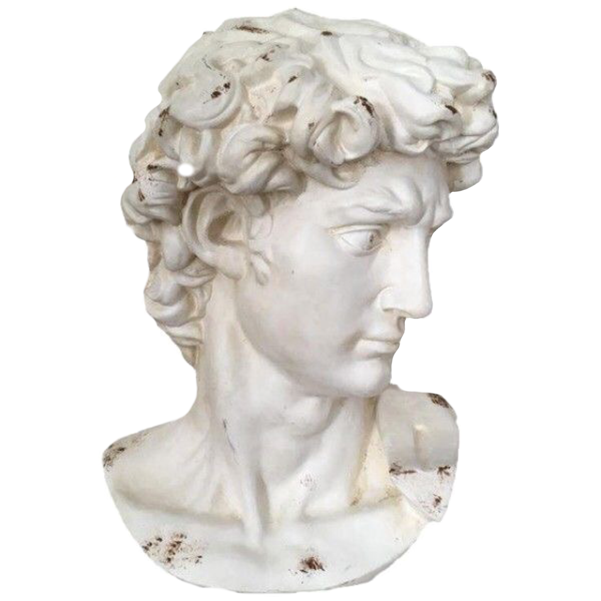 Head Statue, Png Photo, Plaster Sculpture, Sculpture - Greek Statue Transparent Png Clipart (2048x2048), Png Download