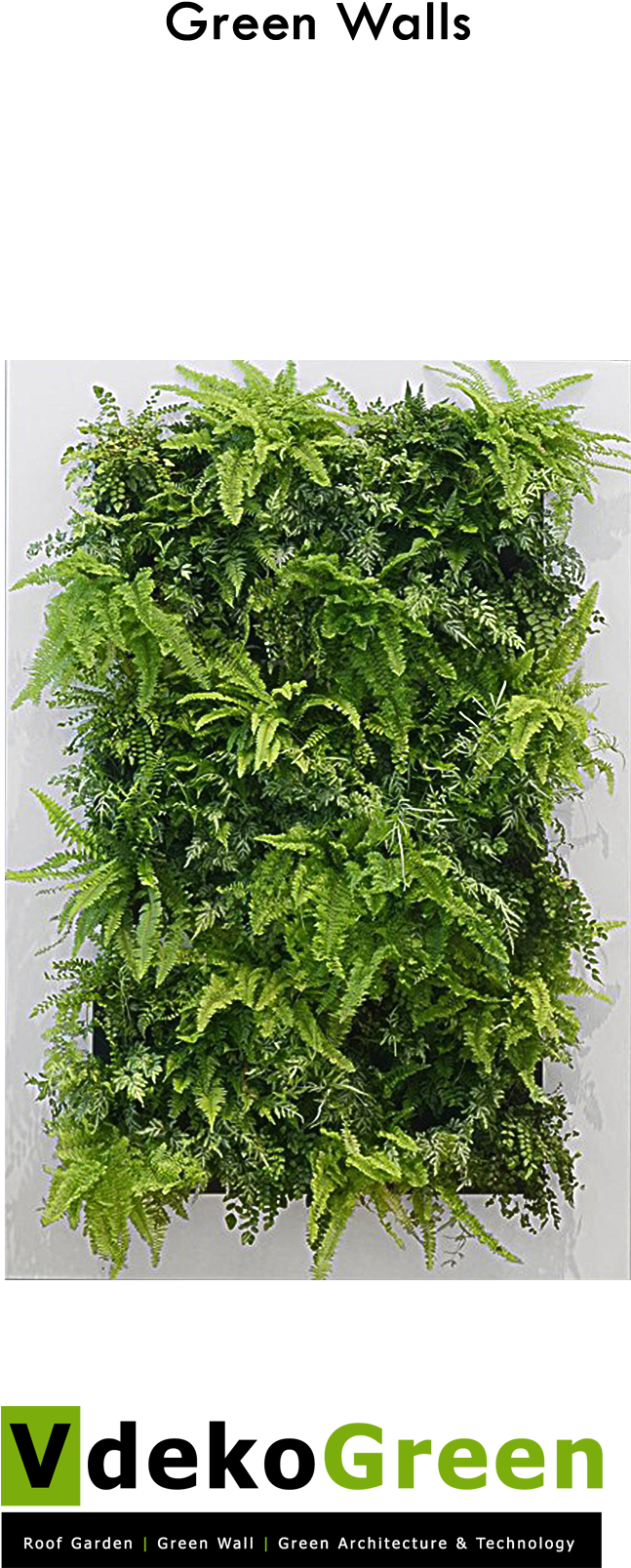 Green Wall - Live Picture Xl Clipart (800x1800), Png Download