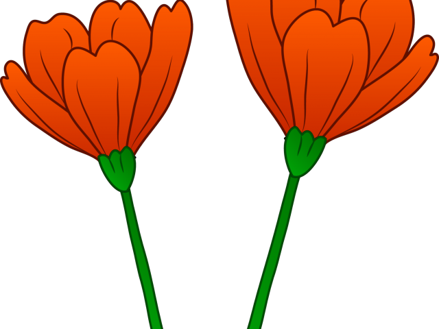 Poppy Clipart Orange Poppy - California Poppy Clip Art - Png Download (640x480), Png Download