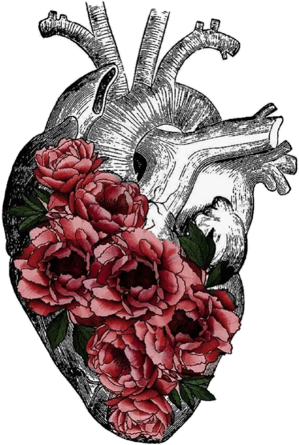 Replace Veins With Tree Roots Anatomy Art, Heart Anatomy - Anatomical Heart With Flowers Png Clipart (641x929), Png Download