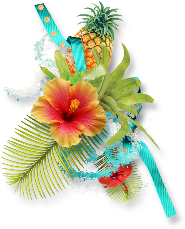 Hibiscus Clipart Download - Pineapple - Png Download (649x800), Png Download