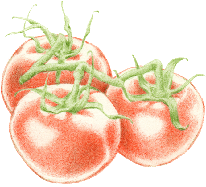 Food Emoji Png - Bush Tomato Clipart (1200x1200), Png Download