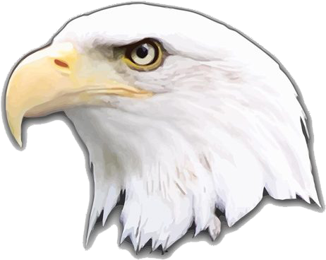 Eagle Png Logo - Bald Eagle Clipart (700x490), Png Download