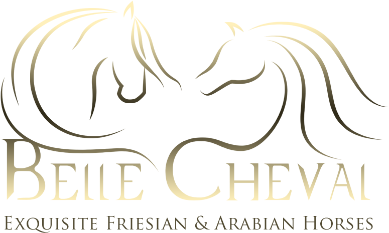 Belle Cheval Friesian And Arabian Horse Logo By Eq - Illustration Clipart (889x510), Png Download