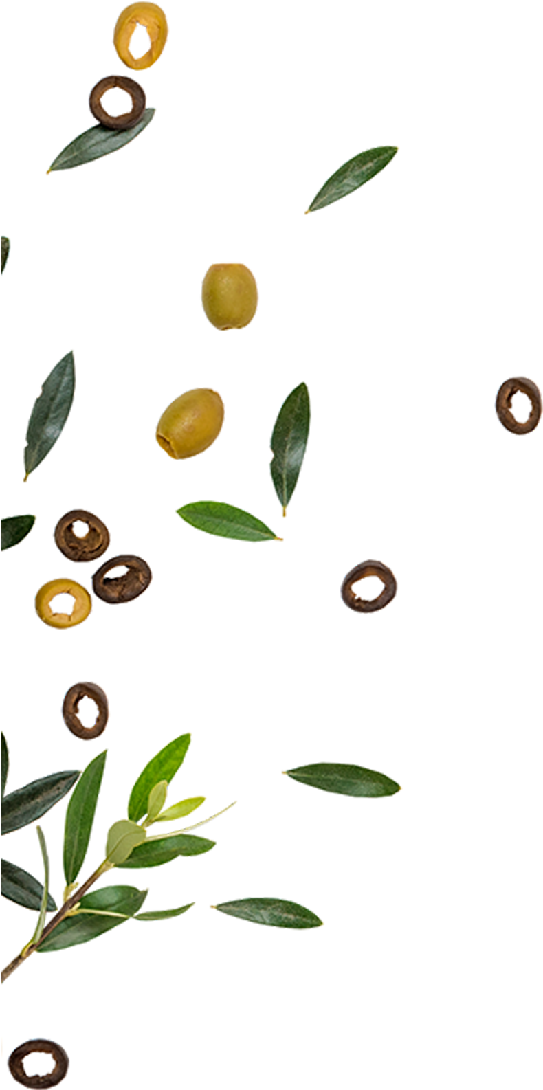 Golden Olive Is One Of The Leading Companies In The - Olive Clipart (790x1586), Png Download