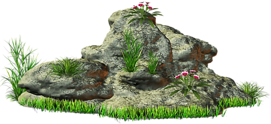 #rock #stone #grass @ladymariacristina - Grass With Stone Png Clipart (1024x1024), Png Download