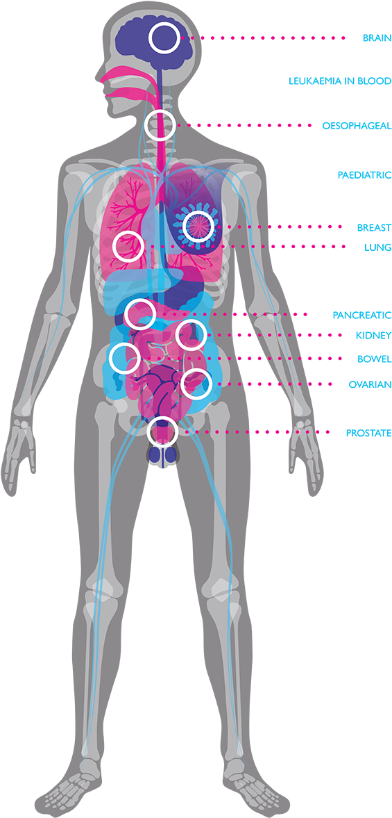 Infographics - Illustration Clipart (650x1215), Png Download