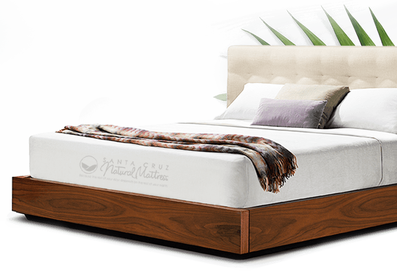 Welcome To Santa Cruz Natural Mattress 100% Pure Botanical - Bed Clipart (819x560), Png Download
