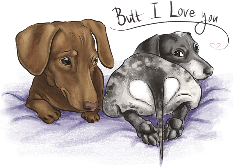 Dachshund , Png Download - Dachshund Clipart (801x573), Png Download