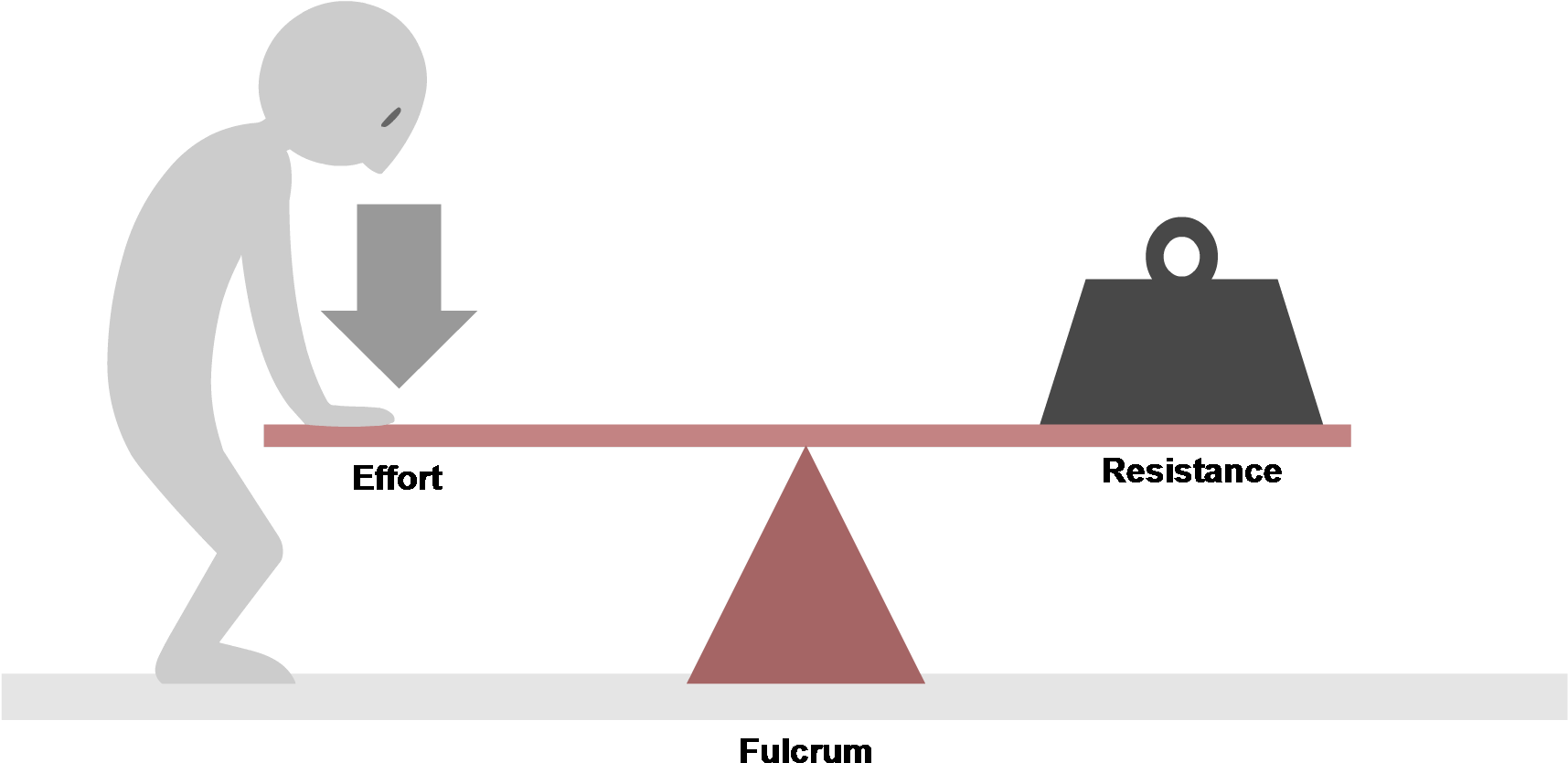 Download Scissors Clipart First Class Lever Seesaw First Class Lever Png Download Png