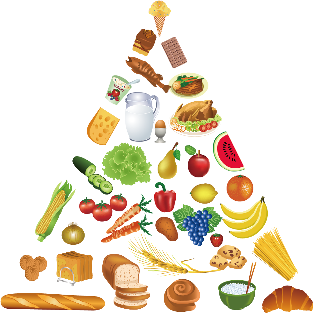 Vector Vegetables Healthy Food - Food Pyramid Png Clipart Transparent Png (1181x1181), Png Download