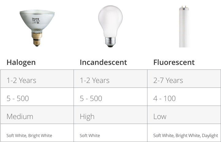 Types Of Bulbs Chart - Fluorescent Lamp Clipart (721x464), Png Download
