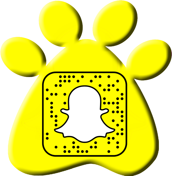 In January 2018 Claws & Paws Veterinary Hospital® Launched - Lion King Snapchat Lens Clipart (729x732), Png Download