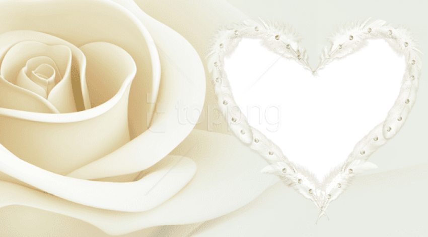 Free Png Transparent Frame With Rose Png Images Transparent - Garden Roses Clipart (850x472), Png Download