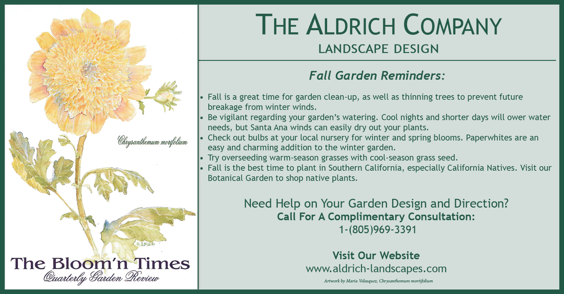 0 Comments - Sunflower Clipart (1100x575), Png Download