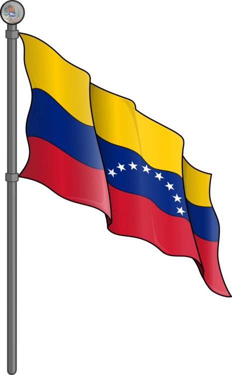 Flag Of Venezuela Flag Of Argentina Drawing - Dibujo De La Bandera Nacional De Venezuela Clipart (465x750), Png Download