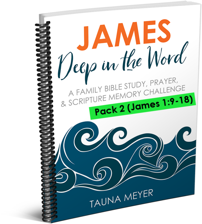 James Scripture Challenge (james - Graphic Design Clipart (761x1024), Png Download