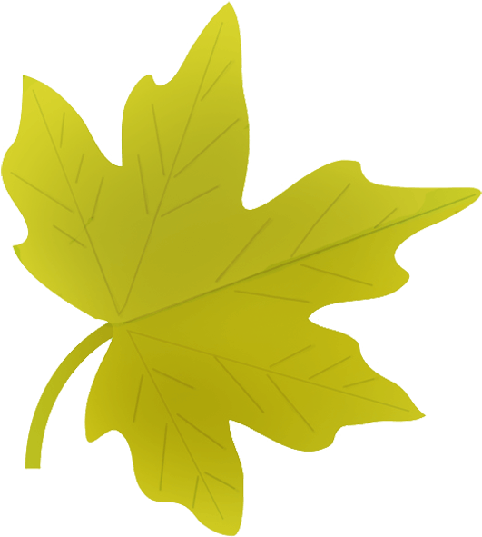 Yellow Leaf Png - Autumn Leaves Clipart Png Transparent Png (587x620), Png Download