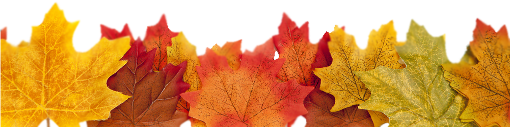 Maple Leaf Clipart (1000x667), Png Download
