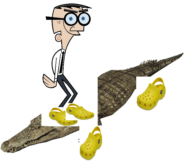 Crocker Wearing Crocs On A Crocodile Wearing Crocs - Crocodile Wearing Crocs Clipart (1080x672), Png Download