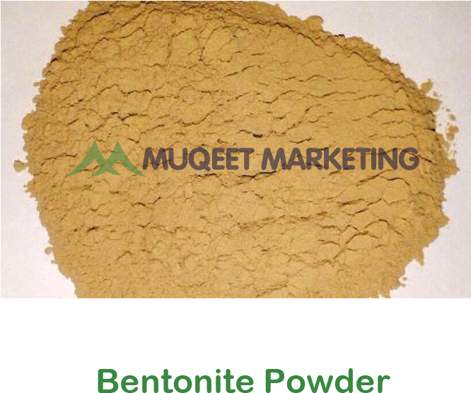 Enter Details - Bentonite Clipart (665x750), Png Download