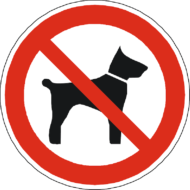 Dogs Prohibited Forbidden Allowed Sign Symbol - Dogs Not Allowed Sign Clipart (800x800), Png Download