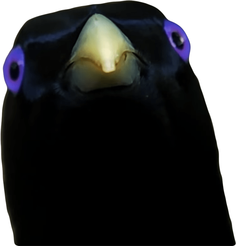 Lemme Smash Ron - U Want Some Fuk Clipart (1000x1026), Png Download