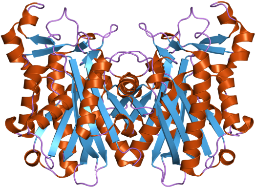 Pdb 2ebd Ebi - Illustration Clipart (800x600), Png Download